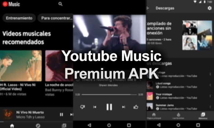 Youtube music premium на андроид. Премиум музыка. Ютуб музыка премиум.