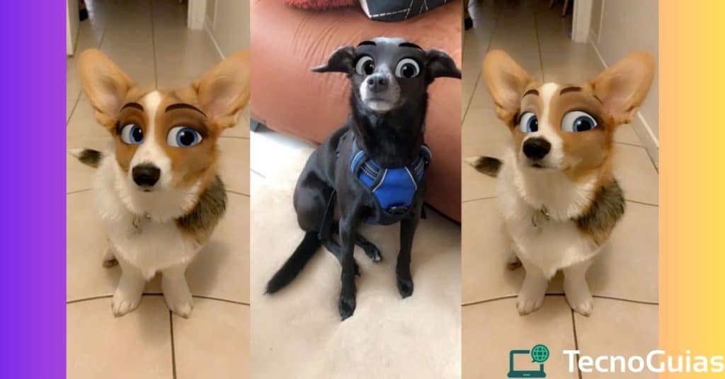 Filtri instagram per cani